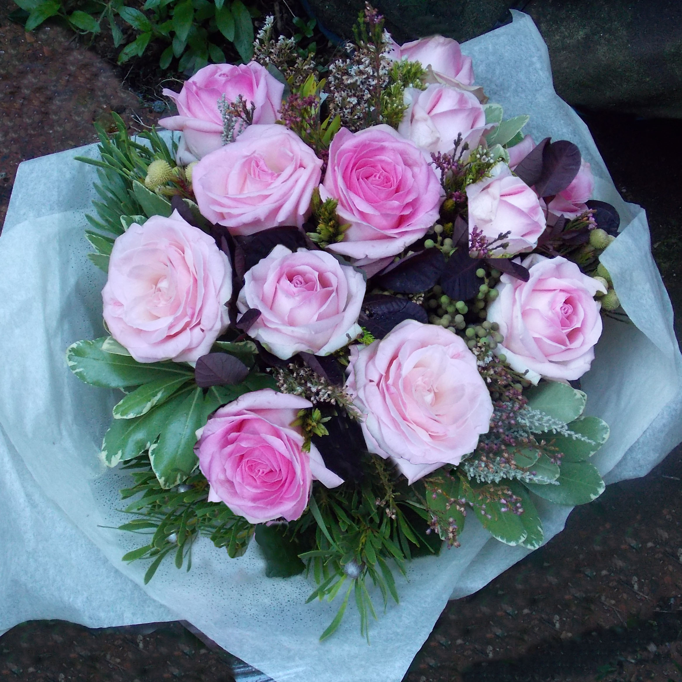 Rose posie bouquet - Laguna Rose Catinus + cape african mix